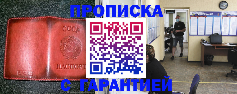 прописка гарантия в Шали